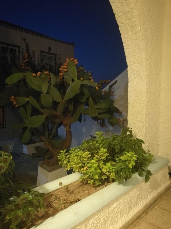 Villa Metaxa スペツェス エクステリア 写真